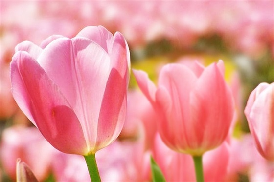 小众但惊艳、生僻却美到爆的小名，每个都不容错过