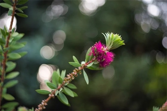带晏字的霸气名，带晏字的男孩名字霸气