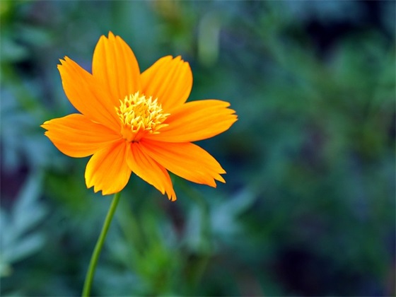 如何起新颖独特的男孩名字，新颖独特男孩名大全