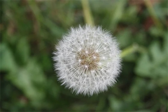 勋字取名男孩霸气名字