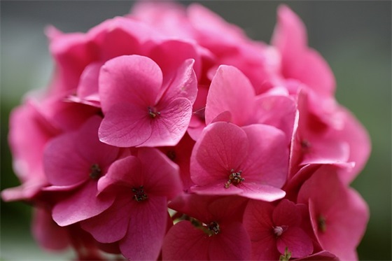 吴姓女孩名字大全_姓吴的女孩名字_吴姓女孩起名