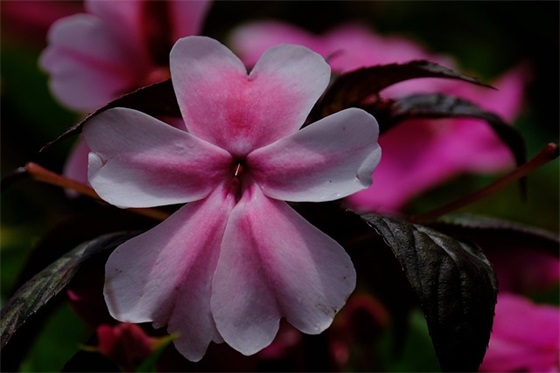 给莫姓男孩起名的简单小技巧