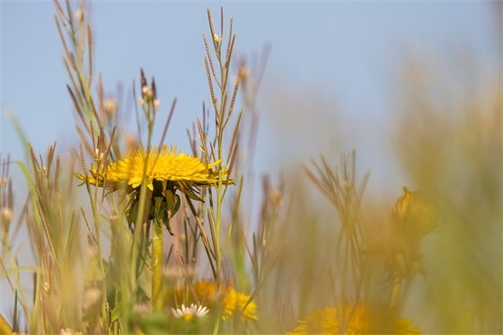 周姓男孩名字大全_姓周的男孩名字_周姓男宝宝取名