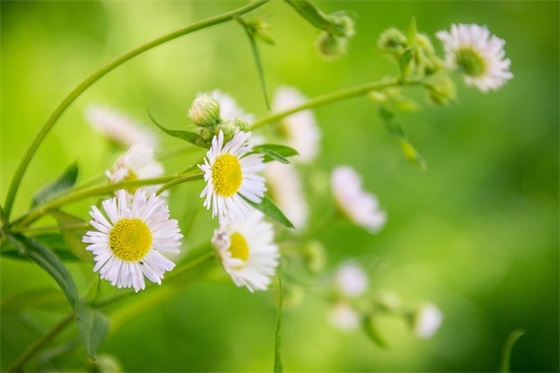 姓钟的男孩名字寓意好2025（选择最佳姓钟男孩名字）