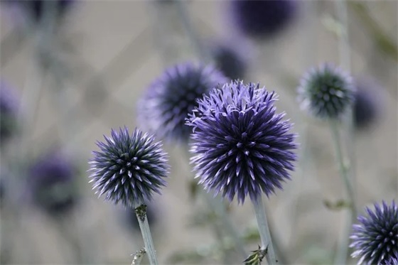 百家姓起名_吴姓男孩起名禁忌