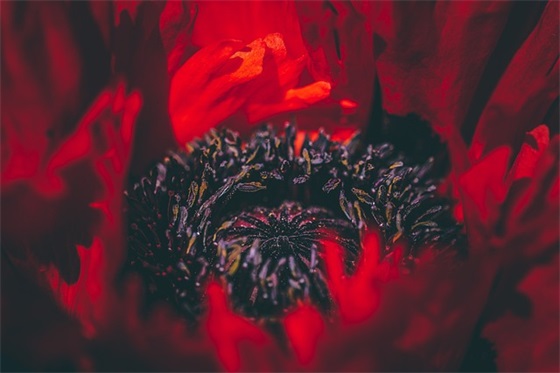 小名萌哒哒 宝宝叠字小名这样起