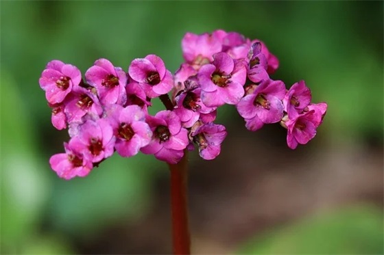 好听的女生名字 女孩取名的四个好方法