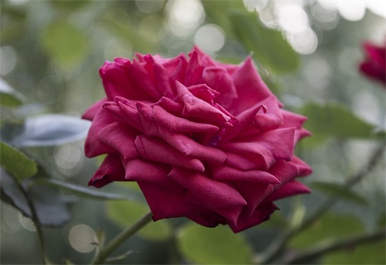 学会三个“套路”，取精致可爱的宝宝乳名