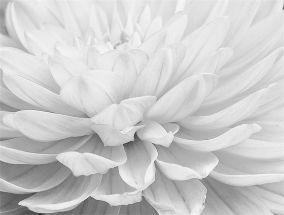 温润儒雅的男孩名字，寓意学识渊博