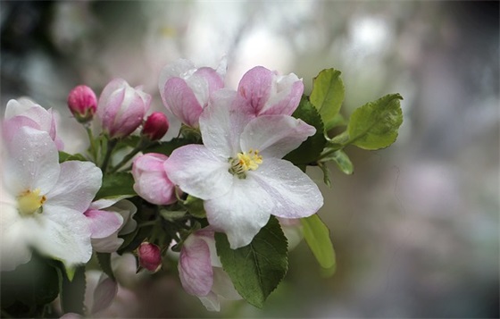 属龙男宝宝取名字大全
