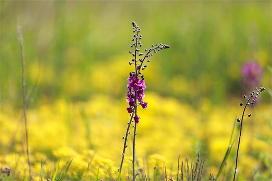 90、00后男孩名字中所常见带宝盖头的取名用字