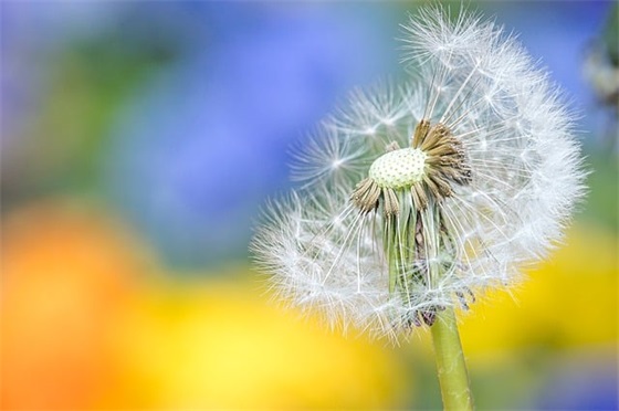 男孩起名，品质优秀的男孩名字大全