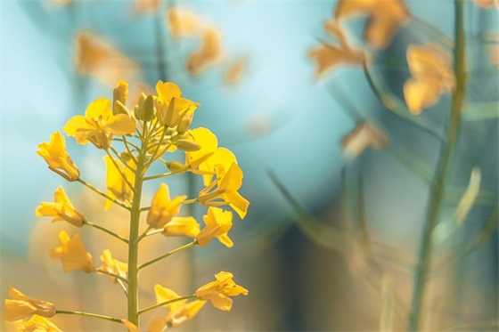 2025年宝宝名字如何起才“乖巧可爱”？