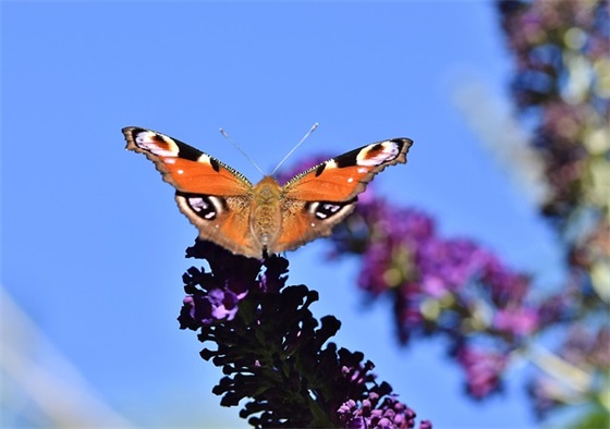 博学笃行的男宝宝起名推荐