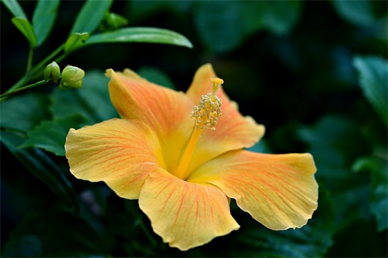 女孩名字大全 根据习俗为女宝宝起名