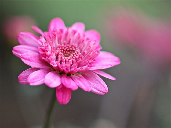 双胞胎女孩取名方法 双胞胎怎么起名命理好