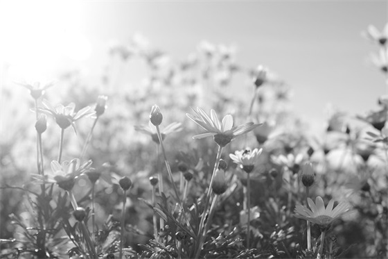 女孩取名：女宝宝取名带萱字女孩名