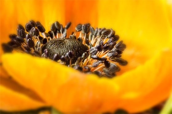 如何取漂亮又有涵养的女孩名字