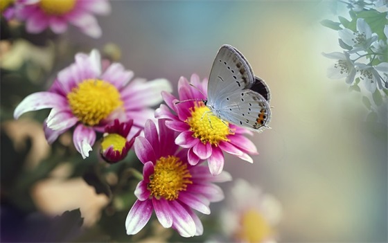 2025年群名称大全霸气