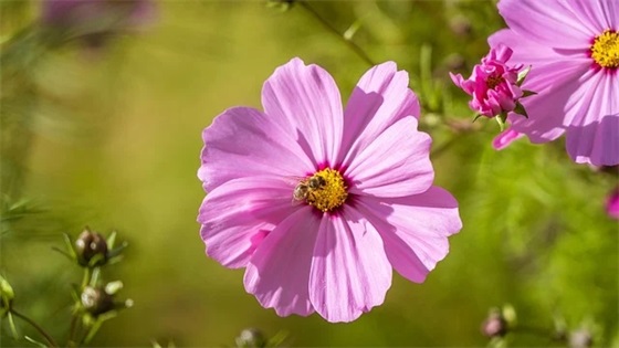 汪姓男孩名字大全_姓汪的男孩名字_汪姓男宝宝如何起名