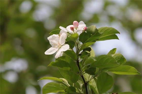 小名乳名大全：怎么给小女孩起个小名