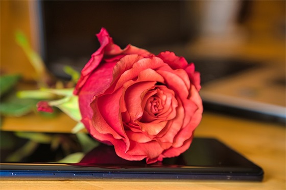 男宝宝取名_带金带水的男孩名字