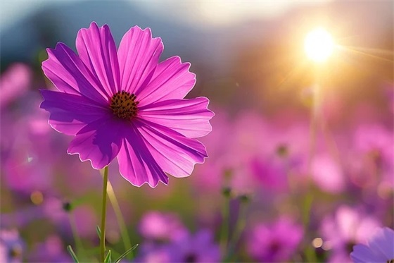 分店开张的祝福语58句