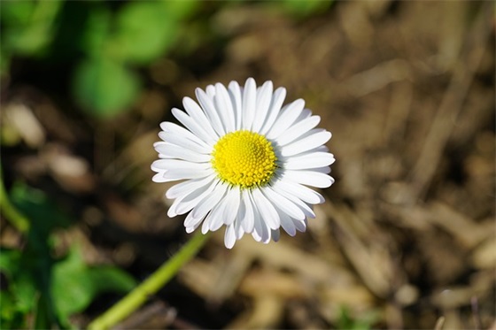 大学迎新晚会祝福语