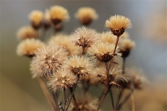 精选的朋友祝福词大全 送给朋友的祝福词