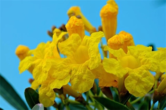 2025暖心的生日祝福语说说