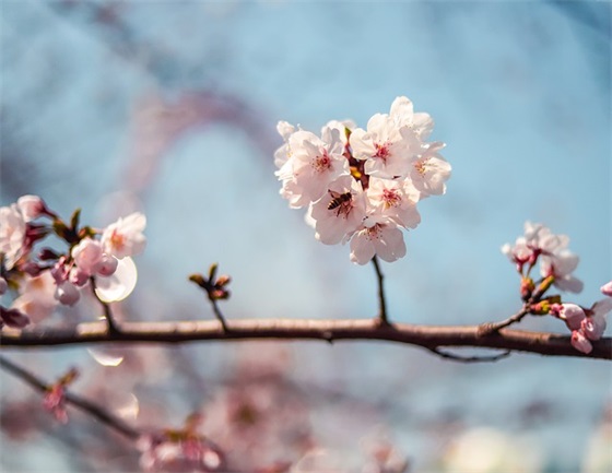 中秋节祝福语送朋友58句