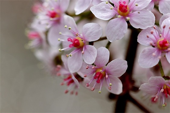 今日谷雨祝福语 谷雨节气祝福语简短