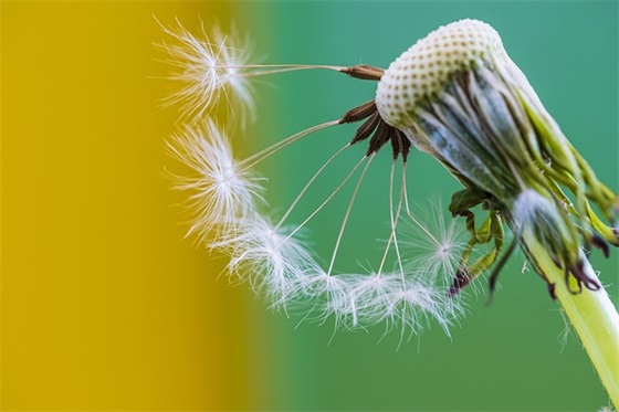 对领导的生日祝福语75句