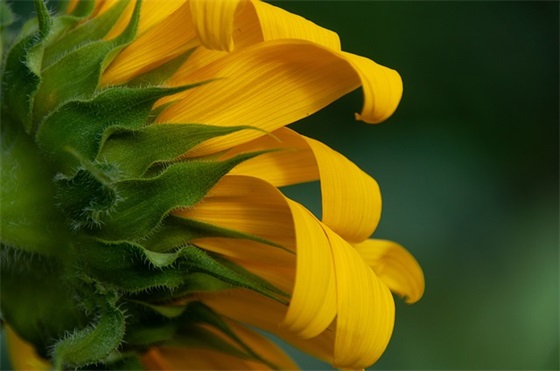 搞笑明信片祝福语62句