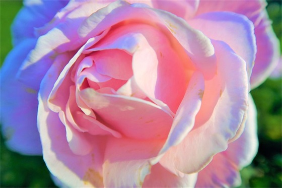 女朋友过生日祝福语 给女朋友的生日祝福语