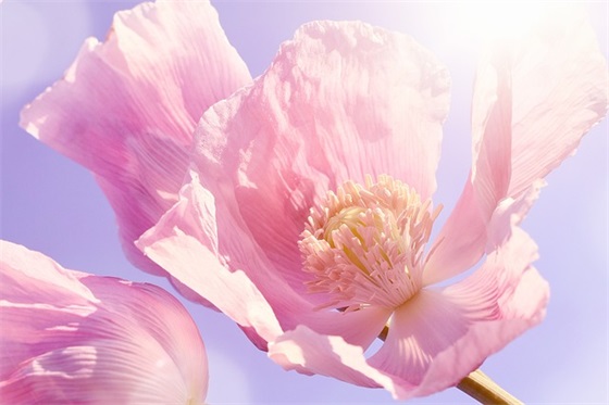 晚安搞笑祝福语66句