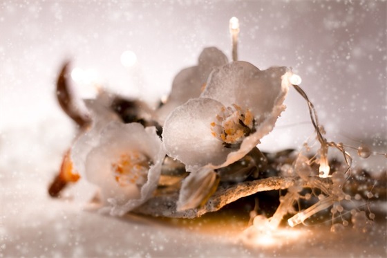 生日祝福语男朋友 生日祝福语女朋友