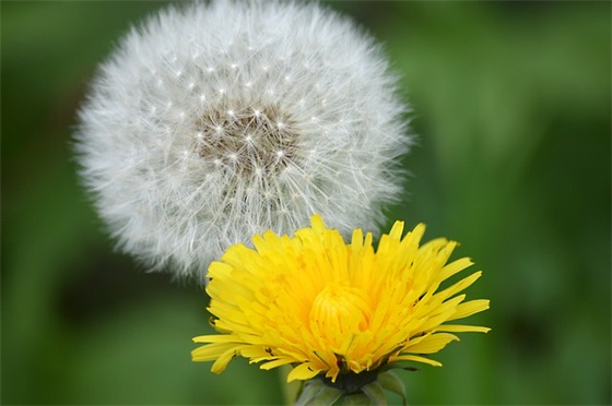 关于贺婚祝福语大全 结婚祝福语