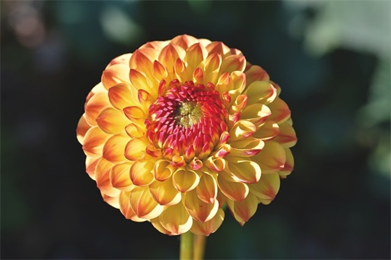 老姐的祝福语搞笑64句