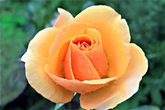 客运车简短祝福语