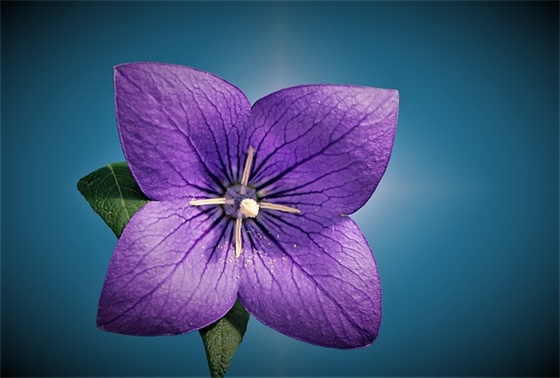 2025年祝福语简短86句