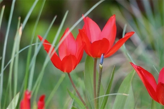 中秋佳节的经典祝福语 中秋佳节的祝福语
