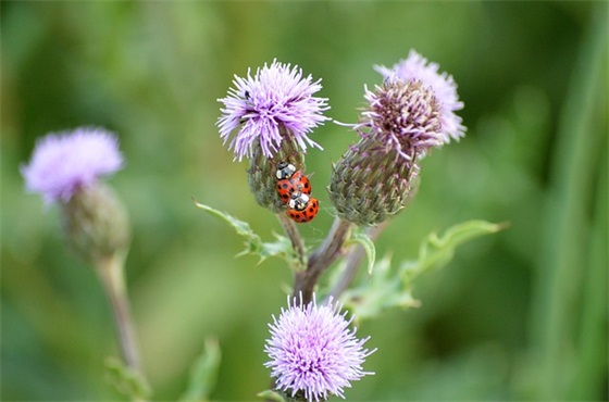 同事退休祝福语大全54句