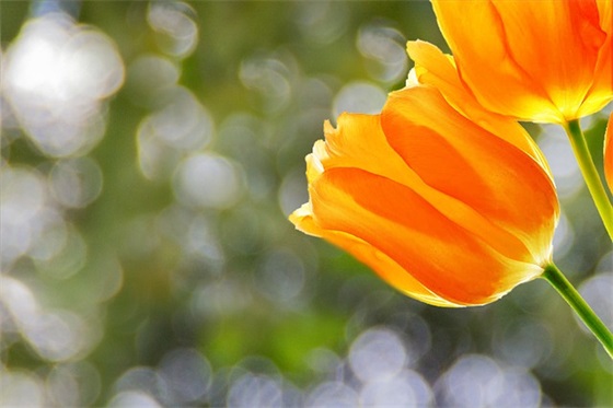 大舅子的生日祝福语58句