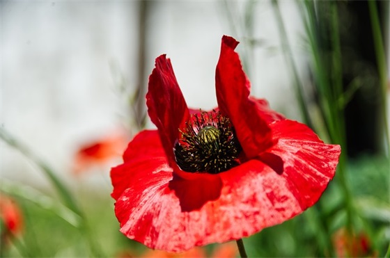 简短的结婚祝福语 闺蜜结婚贺词