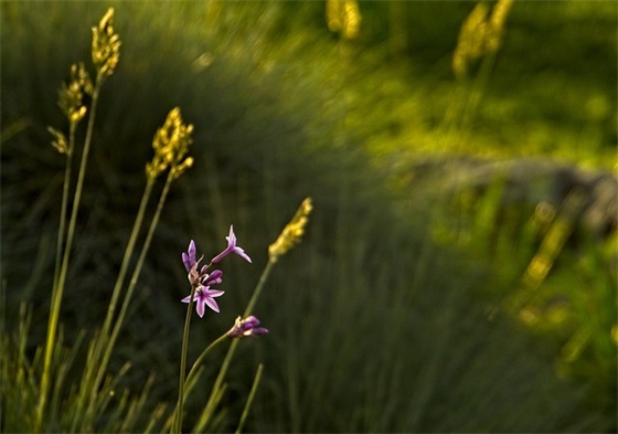 工作岗位调动祝福语74句