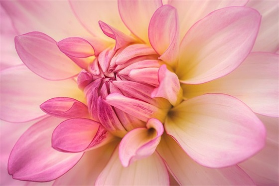 经典的结婚祝福语