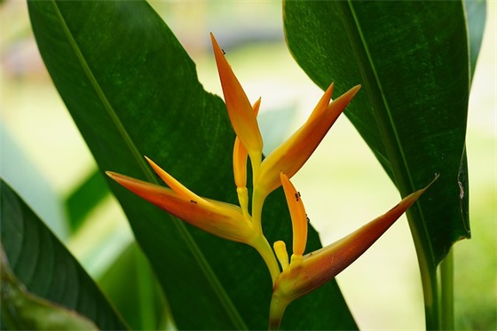 亲人生日祝福短信