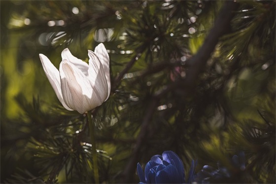 适合冬至的文案超级温馨的祝福语