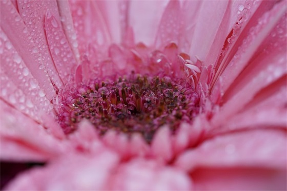 企业财务部特色的祝福语